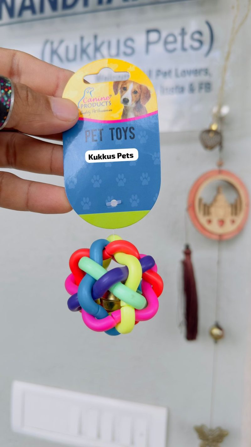 Shih tzu puppies Accessories