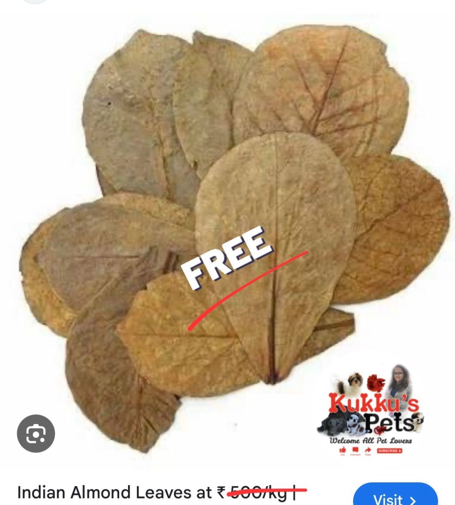 Free Almond leafs