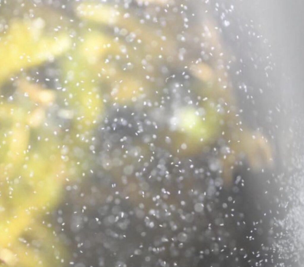 infusoria culture In Bangalore